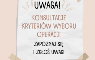 Wstęga Kociewia - Na www konsultacje kryteriow