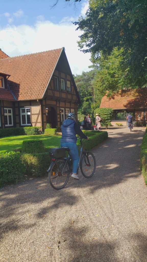 Wstęga Kociewia - 547143385 1091957316379447 766555621849117999 n