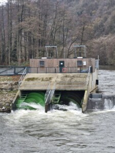 Wstęga Kociewia - 600352080 1168640628711115 4743334550419637838 n