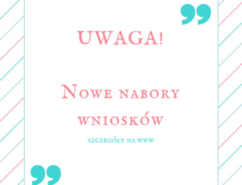 Nabór wniosków nr&nbsp;709 237 – 1.1 poprawa dostępu (DMI)
