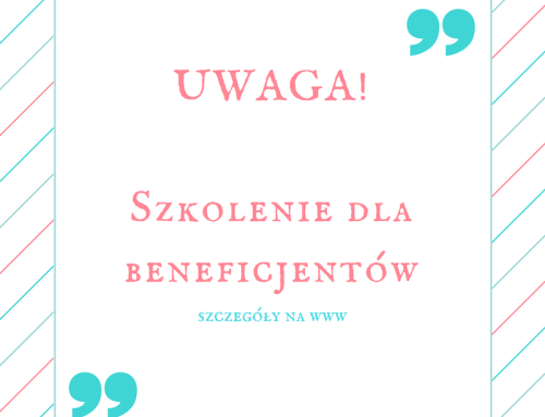 Szkolenie pn.&nbsp;Magazynowanie energii w&nbsp;magazynach litowo – jonowych