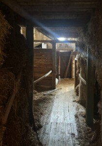 Wstęga Kociewia - 673224204 1261460939429083 5674592064187081487 n