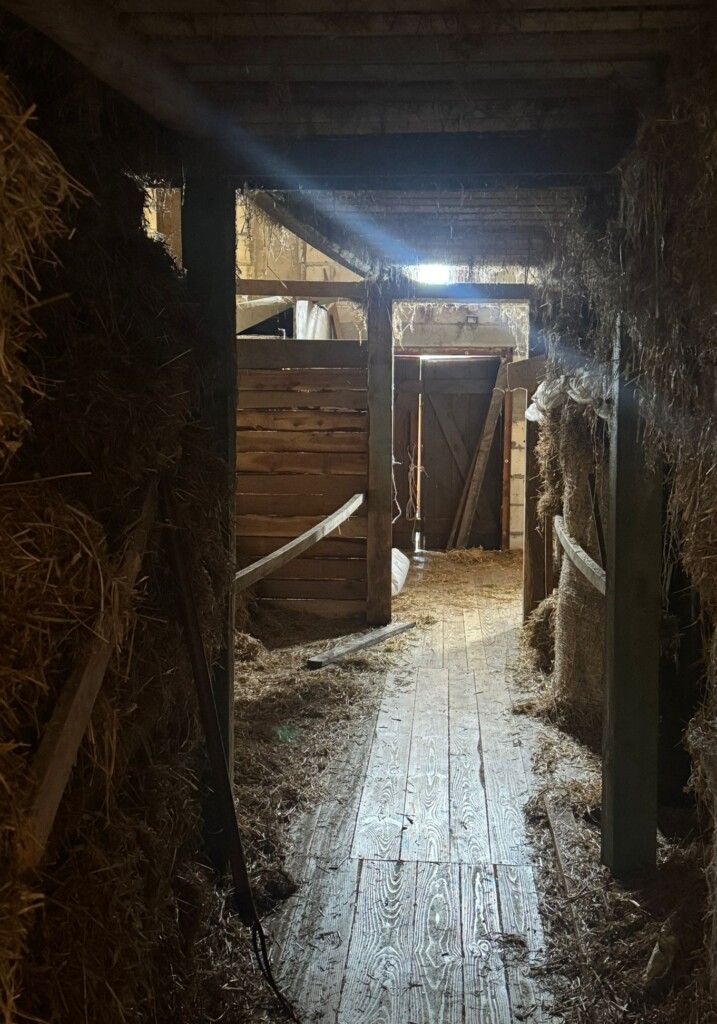 Wstęga Kociewia - 673224204 1261460939429083 5674592064187081487 n