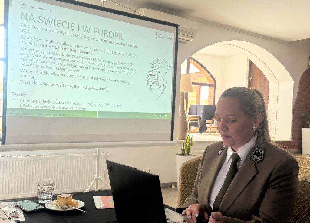 Wstęga Kociewia - 673553494 1261460779429099 680436295777116476 n