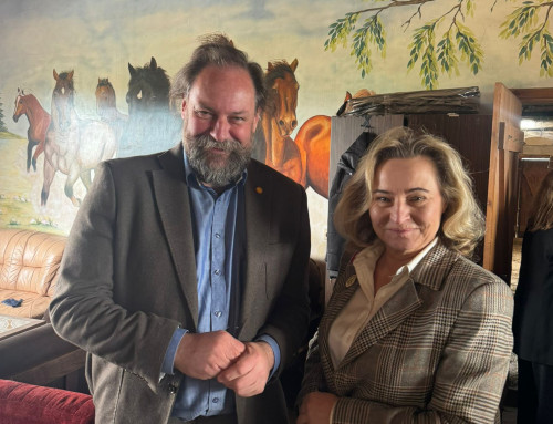 projekt Horse Tourism for Everyone